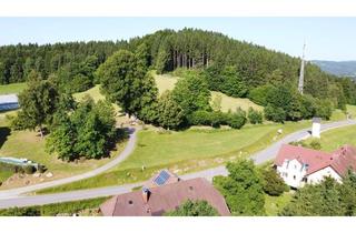 Grundstück zu kaufen in 4273 Kaltenberg, Baugrund in Zentrumsnähe von Kaltenberg