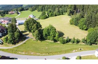 Grundstück zu kaufen in 4273 Kaltenberg, Baugrund samt Gartengrund (landw. Nutzgrund) in Zentrumsnähe von Kaltenberg