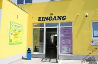 Geschäftslokal mieten in 2401 Fischamend-Dorf, HUNDESALON mit Kundenstock und Einrichtung direkt bei der Carwashanlage in Fischamend zu vermieten - Nähe Flughafen und 12 Autominuten von Wien entfernt
