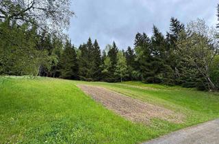 Grundstück zu kaufen in 8786 Oppenberg, Grundstück in Oppenberg mit herrlichem Weitblick auf die umliegenden Berge und die Natur!