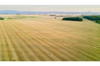 Grundstück zu kaufen in Kirchfeldgasse, 2482 Münchendorf, Ackerland in 2482 Münchendorf, Bez. Mödling , NÖ (Landw.) - zentral, direkt an Bauland angrenzend
