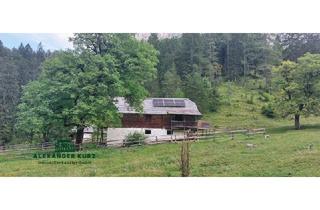 Immobilie kaufen in 5350 Aigen, Alm über 100 ha im Salzburger Land