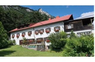 Wohnung mieten in 2733 Grünbach am Schneeberg, Kleinapartment zur Dauervermietung!