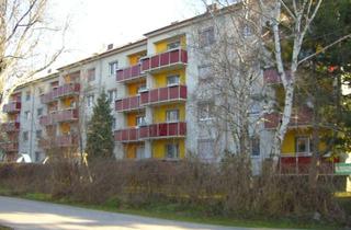 Wohnung mieten in Schulweg 8/1-3, 2441 Mitterndorf an der Fischa, Neu Sanierte Wohnung mit Balkon