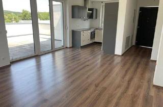 Wohnung mieten in 7442 Lockenhaus, ca.65 m² 3 Zimmerwohnung mit ca. 30 m² Terrasse