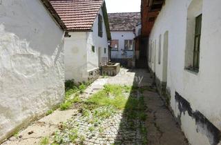 Bauernhäuser zu kaufen in 2054 Auggenthal, Verlassener ehemaliger Bauernhof mit Stadl!