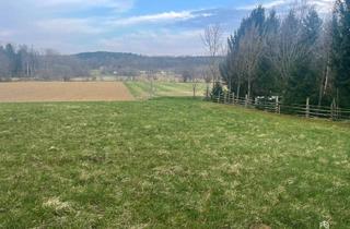 Grundstück zu kaufen in 7551 Stegersbach, Baugrundstück mit Weitblick – Wohnen, wo andere Urlaub machen