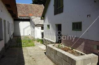 Agrarfläche kaufen in 2054 Haugsdorf, Verlassener ehemaliger Bauernhof mit Stadl!