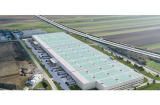 Immobilie mieten in 2421 Kittsee, Perfekter Logistik- und Produktionsstandort