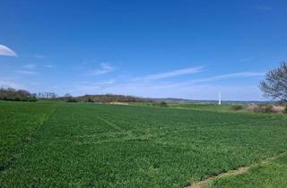 Grundstück zu kaufen in 2472 Prellenkirchen, Großzügige Ackerflächen für landwirtschaftliche Nutzung