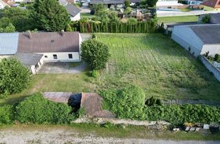 Grundstück zu kaufen in 2421 Kittsee, Großzügiges Grundstück mit Altbestand in Kittsee, Bezirk Neusiedl am See