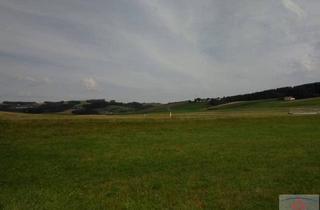 Gewerbeimmobilie kaufen in 7323 Ritzing, Ca. 1,2 Hektar Ackerfläche zu verkaufen