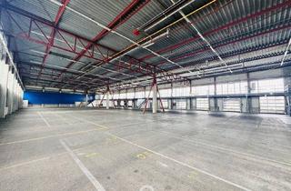 Büro zu mieten in 4050 Traun, Großzügige Produktions- und Logistikhalle mit vielseitigen Nutzungsmöglichkeiten