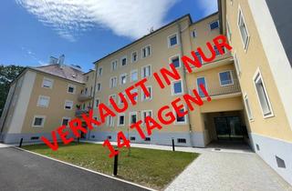 Wohnung kaufen in Roseggerstraße 4/1/4, 2540 Bad Vöslau, Einheit mit Potenzial - Top Lage - ideale Raumaufteilung