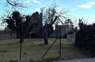 Grundstück zu kaufen in 7202 Bad Sauerbrunn, GRUNDSTÜCK - EBEN - GUTER GRUNDRISS