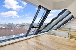 Maisonette kaufen in Liechtensteinpark, 1090 Wien, Beeindruckende Penthousewohnung mit wunderschönem Blick und Garage in Stilaltbau