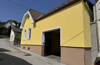 Haus kaufen in 7051 Großhöflein, Kleiner Streckhof mit Terrasse
