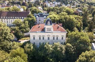 Wohnung kaufen in Vinzenz-Heß-Gasse 14, 1130 Wien, WIENTALBLICK | Lichtdurchflutete Wohnung in der historischen Villa Seutter mit 4,4m Raumhöhe & Blick auf denkmalgeschützte Linde | sanierungsbedürftig | + Garten optional