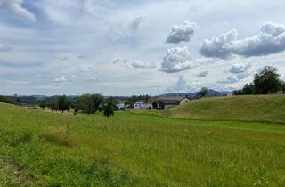 Grundstück zu kaufen in Bründlweg, 4694 Ohlsdorf, Provisionsfrei! Schöner Weitblick und Ruhe nahe dem Traunsee