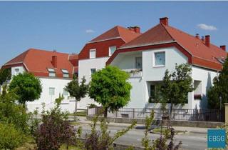 Wohnung mieten in Wienerstraße 1B WE 2/7, 7322 Lackenbach, Single- oder Pärchenwohnung im OG mit Balkon