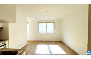 Wohnung mieten in Leibnizgasse, 1100 Wien, Optimal geschnittener Singlehit im 10. Gemeindebezirk