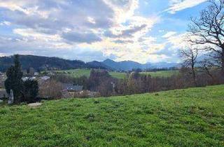 Grundstück zu kaufen in Pogier - Am Kreuzacker, 8605 Kapfenberg, 8605 Kapfenberg-Pogier - 2 sonnige Baugrundstücke in leichter Hanglage
