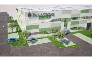 Büro zu mieten in Innerbergerstraße, 2320 Schwechat, Schwechat - Flexibler Businesspark | teilbar ab 2.000 m²
