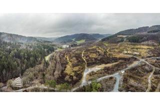 Grundstück zu kaufen in 7461 Stadtschlaining, Sensationelle Investition! Grundstück in Thermenregion mit Projektstudie für Wohn/Ferienprojekt mit Badesee