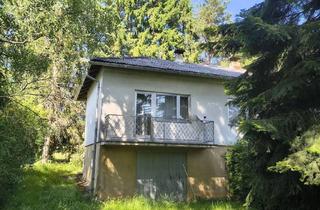 Einfamilienhaus kaufen in Langestrasse, 3872 Langegg, 3872 Amaliendorf: Ihr Refugium im Waldviertel: Ein Idyll mit Potenzial