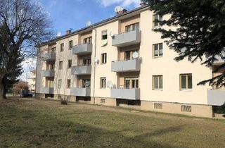 Wohnung mieten in Föhrenbaumstraße 3/11, 8435 Wagna, PROVISIONSFREI - Wagna - geförderte Miete - 1 Zimmer