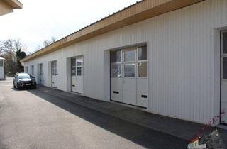 Gewerbeimmobilie mieten in 2401 Fischamend-Dorf, Sehr gut gelegene 44 m² Halle / Garagenbox in Fischamend Flughafennähe und 12 Autominuten von Wien entfernt
