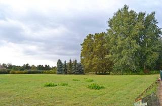 Grundstück zu kaufen in 2333 Leopoldsdorf, Sehr gut gelegenes baugenehmigtes Gewerbegrundstück mit mit gesamt Geschoßflächen von ca. 4.000 m² in Leopoldsdorf bei Wien