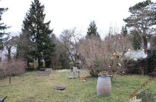 Grundstück zu kaufen in 2401 Fischamend-Dorf, Baugrund für moderne Villa oder Einfamilienhaus in Fischamend - Eigengrund