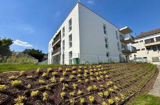 Wohnung mieten in 4713 Gallspach, TOP 311 - Gallspach: Wohnen am Wasserschloss