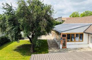 Gewerbeimmobilie kaufen in 2424 Zurndorf, Sonderobjekt - Große attraktive Liegenschaft