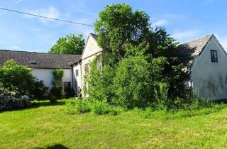 Grundstück zu kaufen in 4522 Sierning, Abbruch-Wohnhaus auf 906 m² ebenem, sonnigem Baugrund