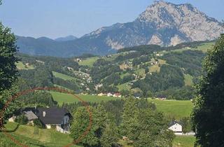 Gewerbeimmobilie kaufen in 4813 Gmundnerberg, Sanierungsbedürftiges Sacherl mit Gebirgsblick