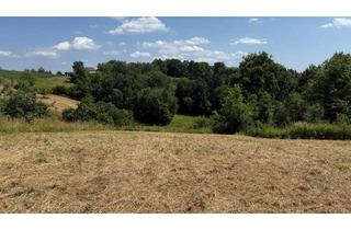 Grundstück zu kaufen in 7540 Güssing, Baugrundstück in sonniger Ruhelage