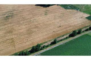 Grundstück zu kaufen in 4076 Sankt Marienkirchen an der Polsenz, Landwirtschaftliches Grundstück in Sankt Marienkirchen an der Polsenz