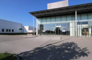 Gewerbeimmobilie mieten in 4600 Wels, Ihr neuer Standort – Sichtbar, erreichbar, erfolgreich!