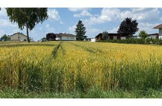 Grundstück zu kaufen in 7512 Kohfidisch, SONNIGES BAUGRUNDSTÜCK ohne Bauzwang