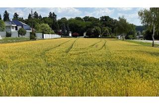 Grundstück zu kaufen in 7512 Kohfidisch, SONNIGES BAUGRUNDSTÜCK ohne Bauzwang