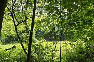 Grundstück zu kaufen in 8254 Sommersgut, Landwirtschaftliche Fläche mit Waldgrundstück und Gebäude