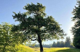 Grundstück zu kaufen in 6858 Schwarzach, Eindrucksvolle Naturkulisse mit traumhaftem Ausblick