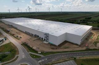 Gewerbeimmobilie mieten in Intercity-Park, 2421 Kittsee, CTPark Kittsee | Logistik & Produktion