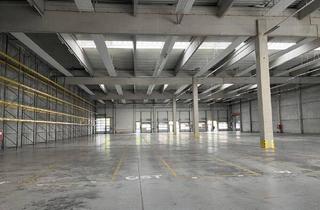 Gewerbeimmobilie mieten in Gewerbestraße, 4882 Oberwang, Neuwertige Logistikfläche an der A1