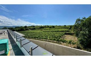 Wohnung kaufen in 3500 Krems an der Donau, Aussichtslage Top 11: Weingartenblick - Luxuriöse 4 Zimmer Dachgeschosswohnung mit herrlicher Terrasse