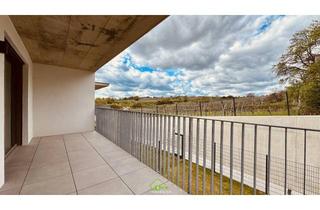 Wohnung kaufen in 3500 Krems an der Donau, Aussichtslage Top 7: Fernblick - 4 Zimmer Eigentumswohnung mit Terrasse
