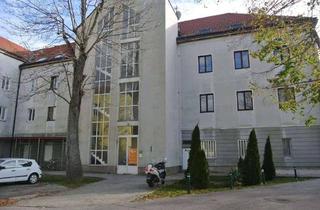 Wohnung mieten in Wienerstraße 25, 2483 Ebreichsdorf, Wohnung in Ebreichsdorf zu vermieten