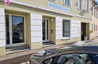 Büro zu mieten in 3741 Pulkau, IHR NEUES BUSINESS-ZUHAUSE!